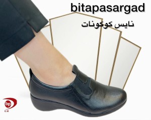  نایس کوکونات 