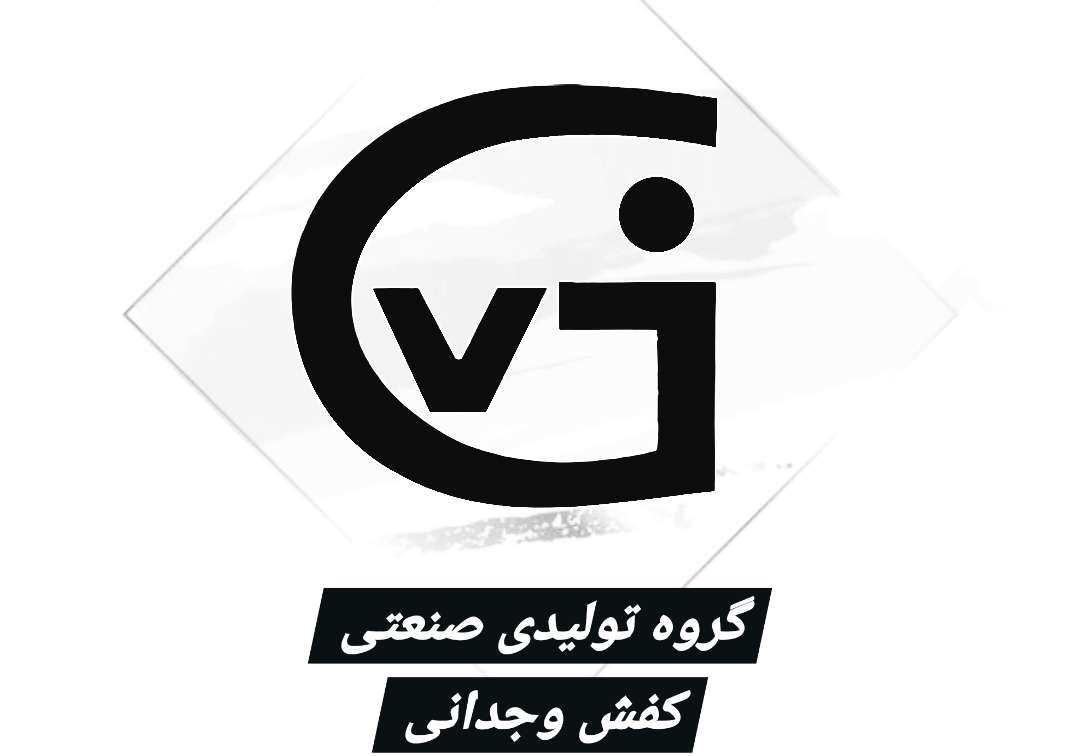 کفش وجدانی