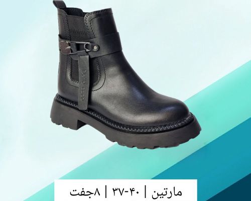  مارتین 