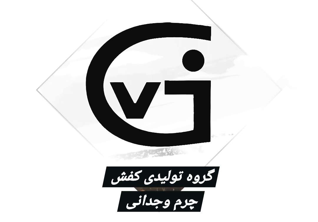 کفش وجدانی