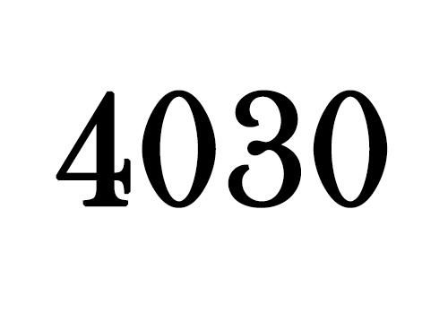کفش چهل سی (4030)